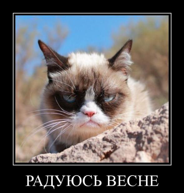 Итоги проверки пользователей