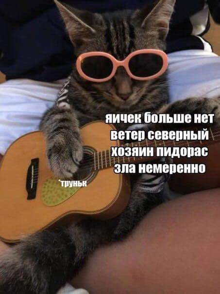 Не очень адекватный юмор