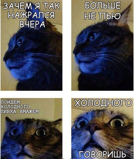 Чемпионат Мира по футболу. Россия 2018 (часть 4)