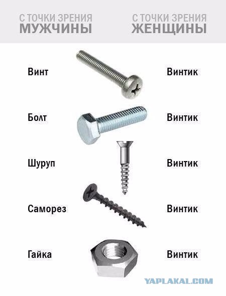 20 вещей, которые умеют все, кроме меня