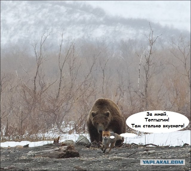 Упущенный кадр