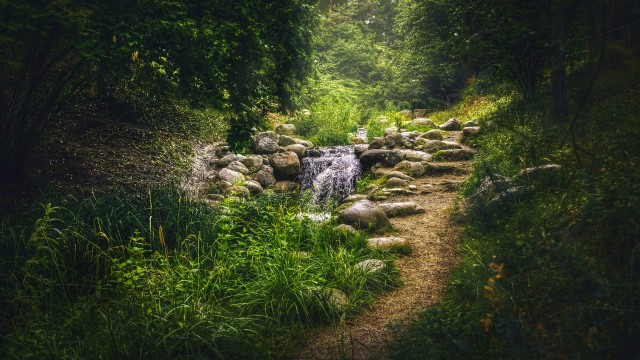 Красота сельских дорог