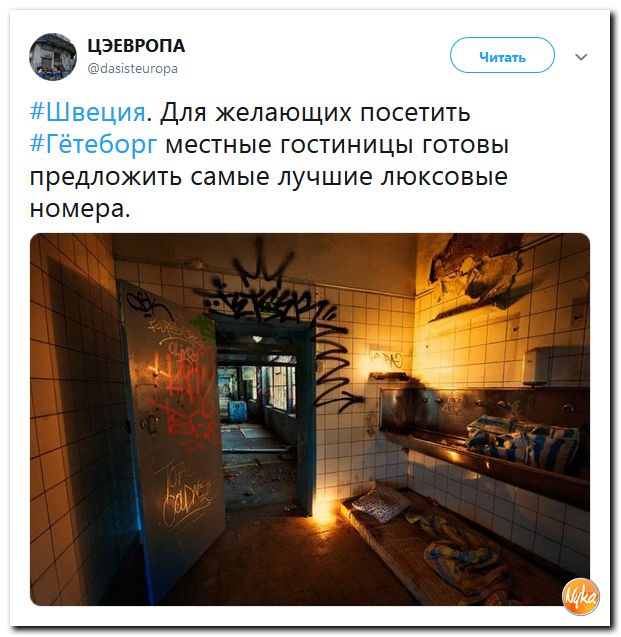 Подборка интересных и веселых картинок 28.07.19