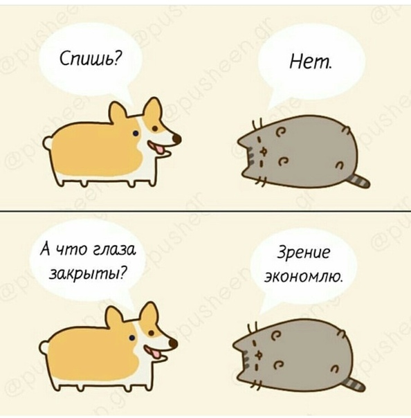 Бредзона 10.11.19