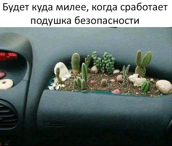 Немного картинок для настроения 18.01.20