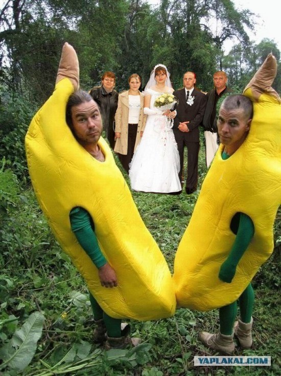 Фотожаба: Свидетель из Фрязино