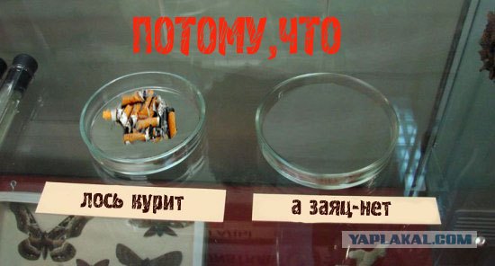 Удивительное рядом