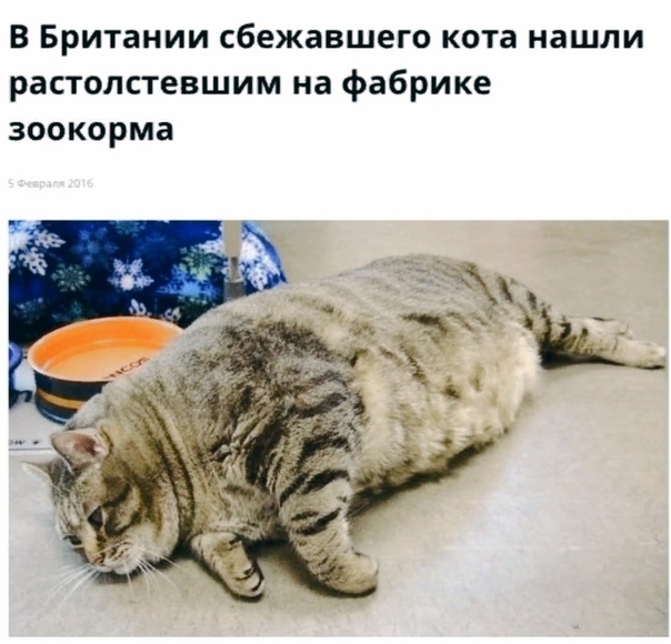 Моя подборка картинок для любимого сайта с любимого сайта