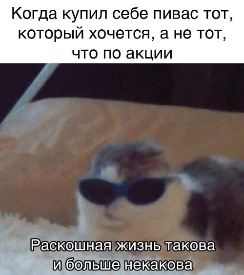 Бредзона 04.02.21