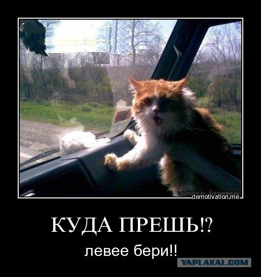 Шашки закончились