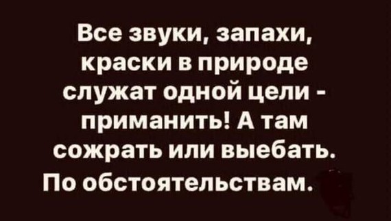 Аморальная деградация