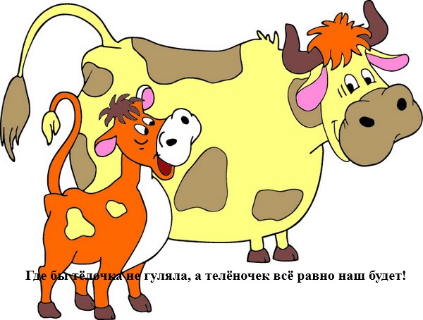 Чем на самом деле занимаются жены вахтовиков, пока те горбатятся на севере