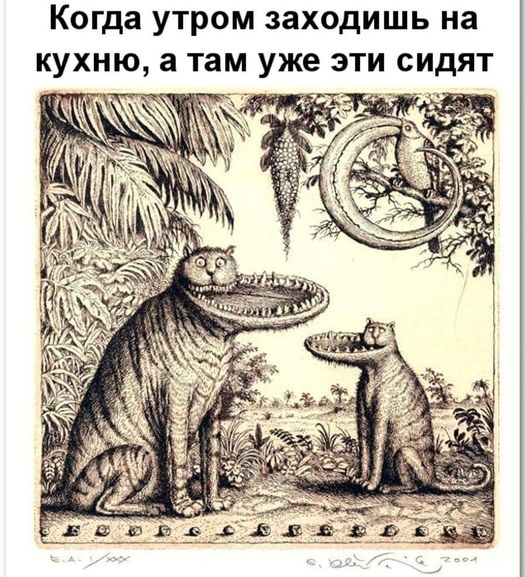 Картинки и мемы для настроения 029