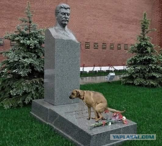 Памятник Сталину и Сталин-центр