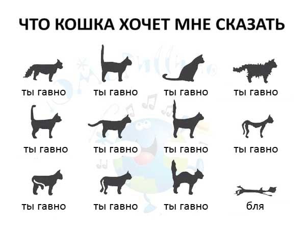 Так себе картинки 14.08.21