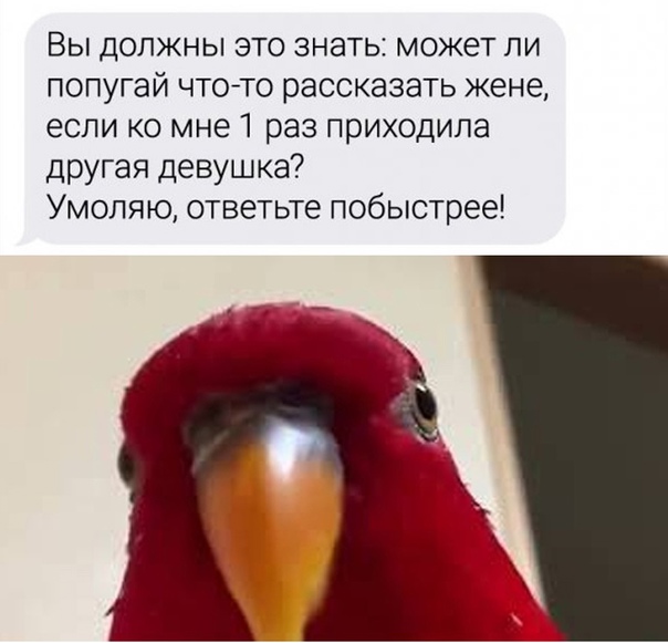 Картинки и мемы для настроения 18.08.2021