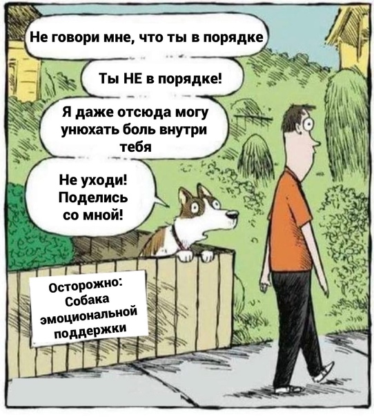 Картинки и мемы, всем прекрасных выходных