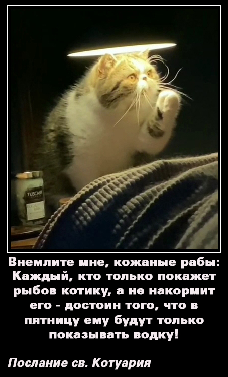 Котоламповая история в стиле хоррор