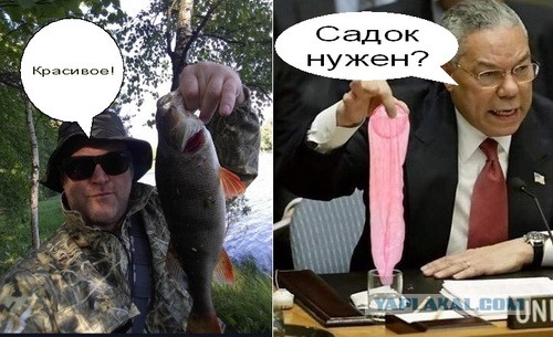 Господа, хвастаемся свежими трофеями с рыбалки