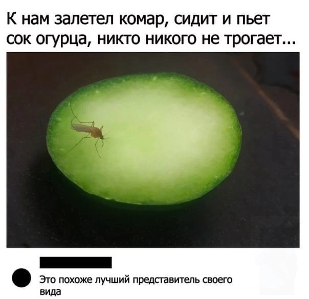 Немного картинок для настроения - 119