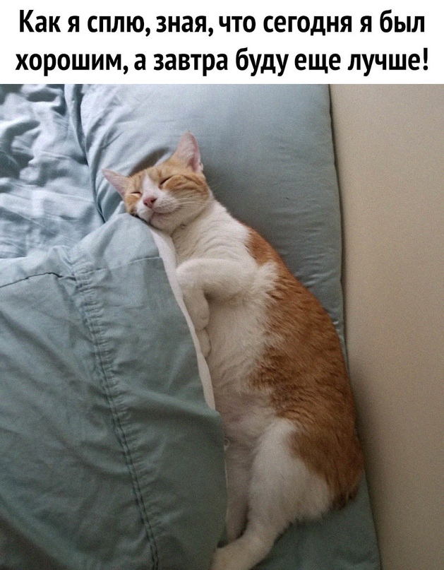 Картинки и мемы. Выходные близко...