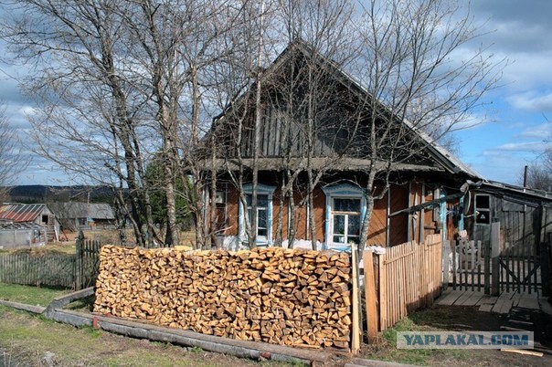 Сибирские казаки на службе и дома. Альбом 1911 года