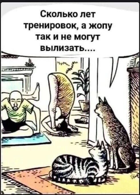 Юмор в картинках и без 16.02.2023