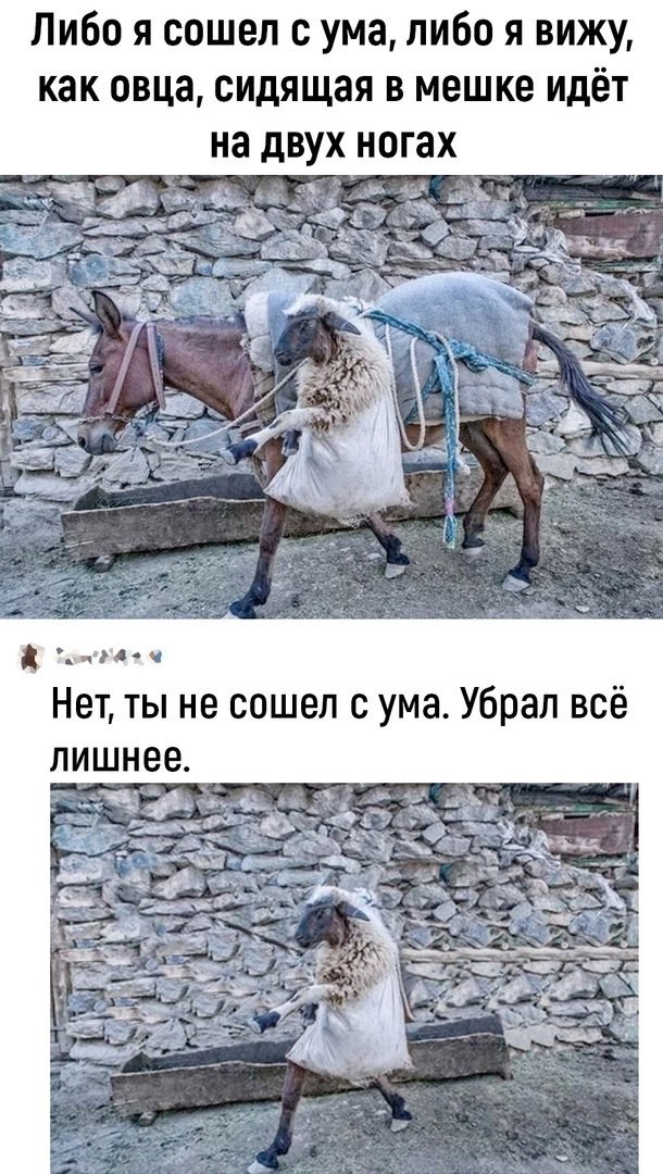 Народная меДИЧина 3009