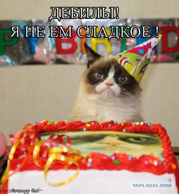 День рождения у Grumpy Cat