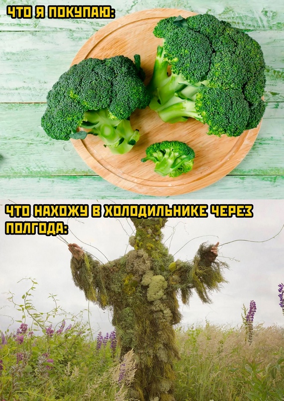 Нуштош 15.08.2023