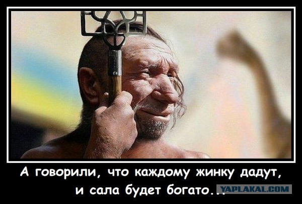 Репарации