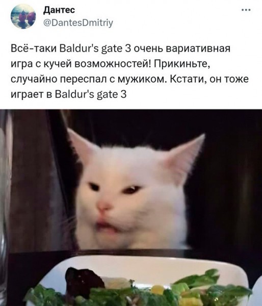 Разработчики игр, вы уху ели со своей толерантностью!