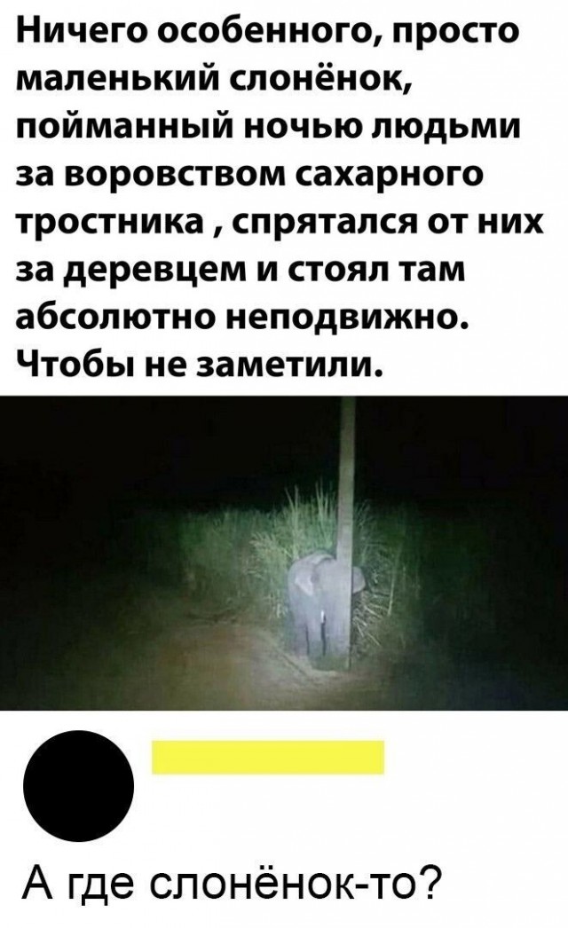 Юмор в картинках и без