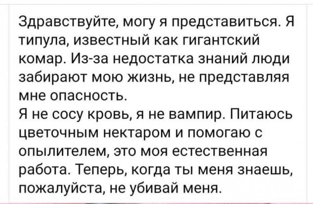Природа и человек