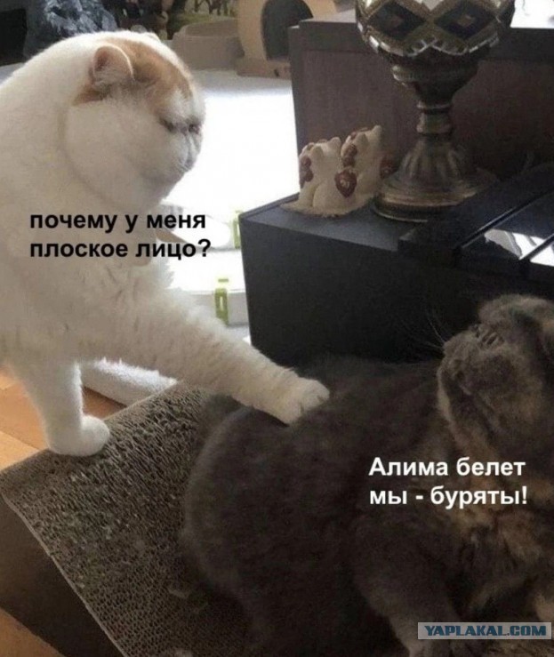 Потанцуем. г.Стерлитамак