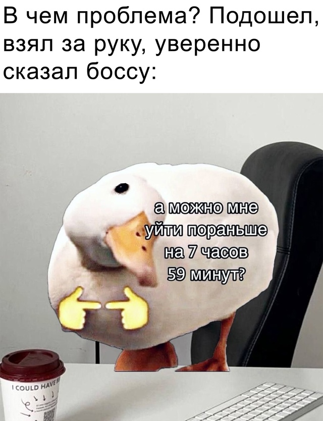 Весёлый полтишок 10.12.24
