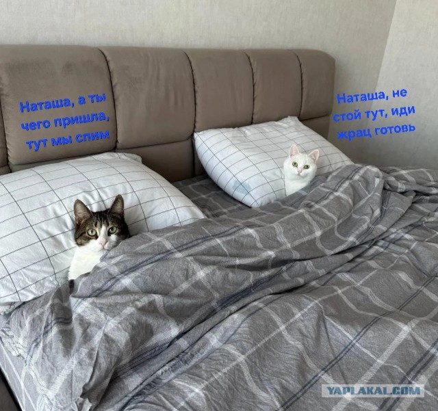 Из замарашки в милашку