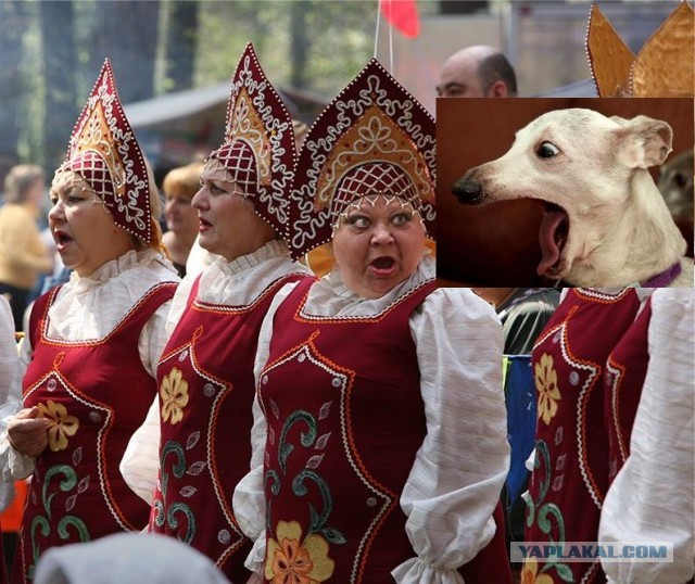 Не фальшивь!