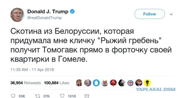 Голубь мира