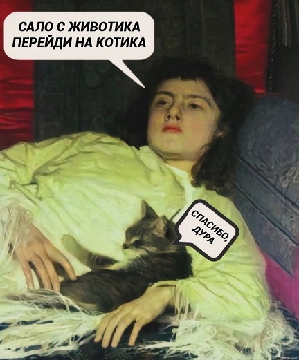 К котовторнику: подборка картинок-баянов с котиками и про котиков. Выпуск 6