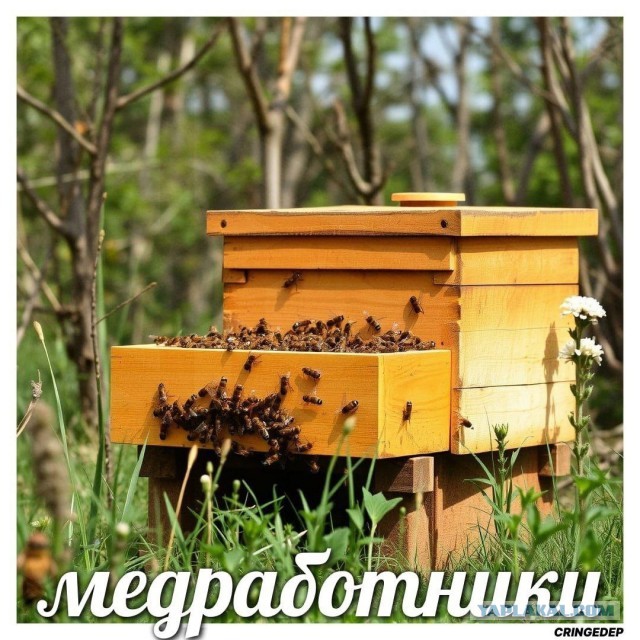 Так себе картинки 17.05.25