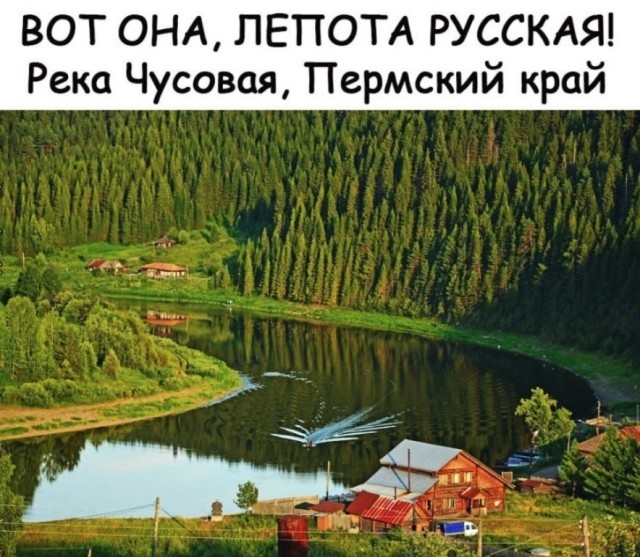 Так себе картинки 28.07.25