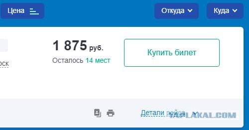 Эксперты выяснили, почему зумеры боятся заводить детей