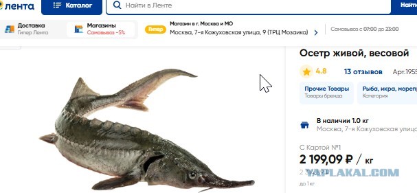 «Тривиальная» осетрина и обычное хамство.