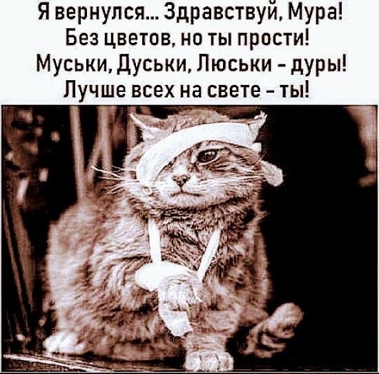 Прикольные и просто красивые картинки 13.03.2026