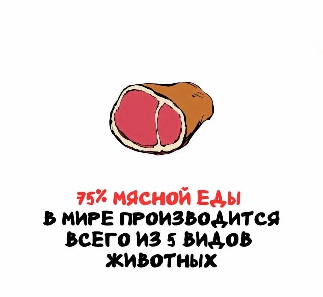 Интересные и короткие факты, на все случаи жизни