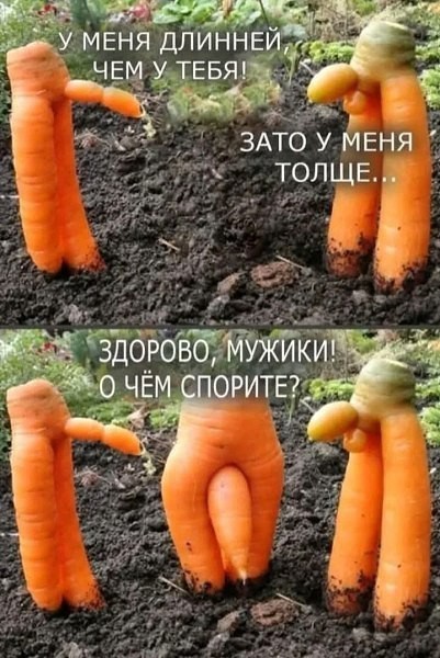 Забавные картинки, шутки из этих ваших интернетов