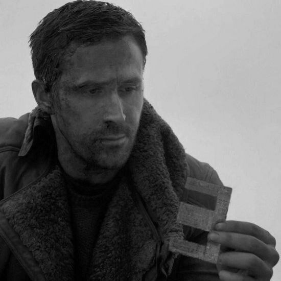 Нуштош. Поиск сатанической пыльцы (s6e2)