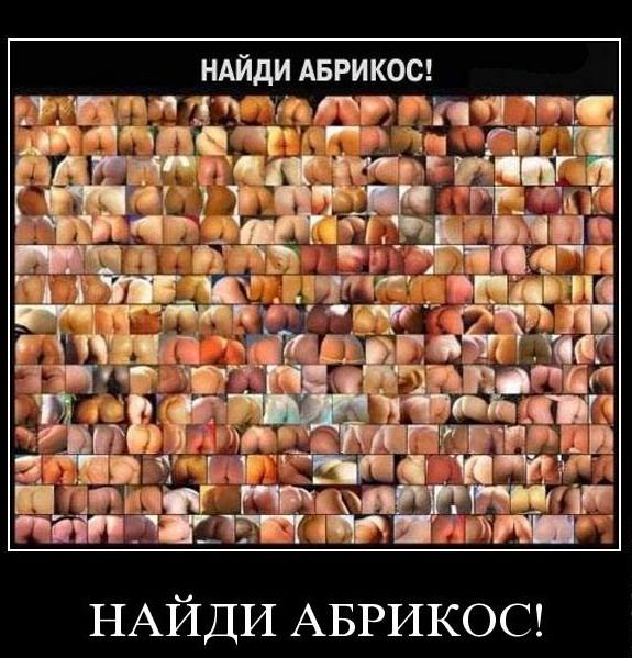 И снова демотиваторы (40 штук)