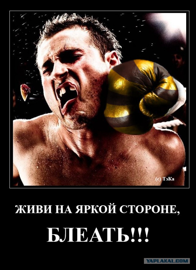 Мимими на мьюте
